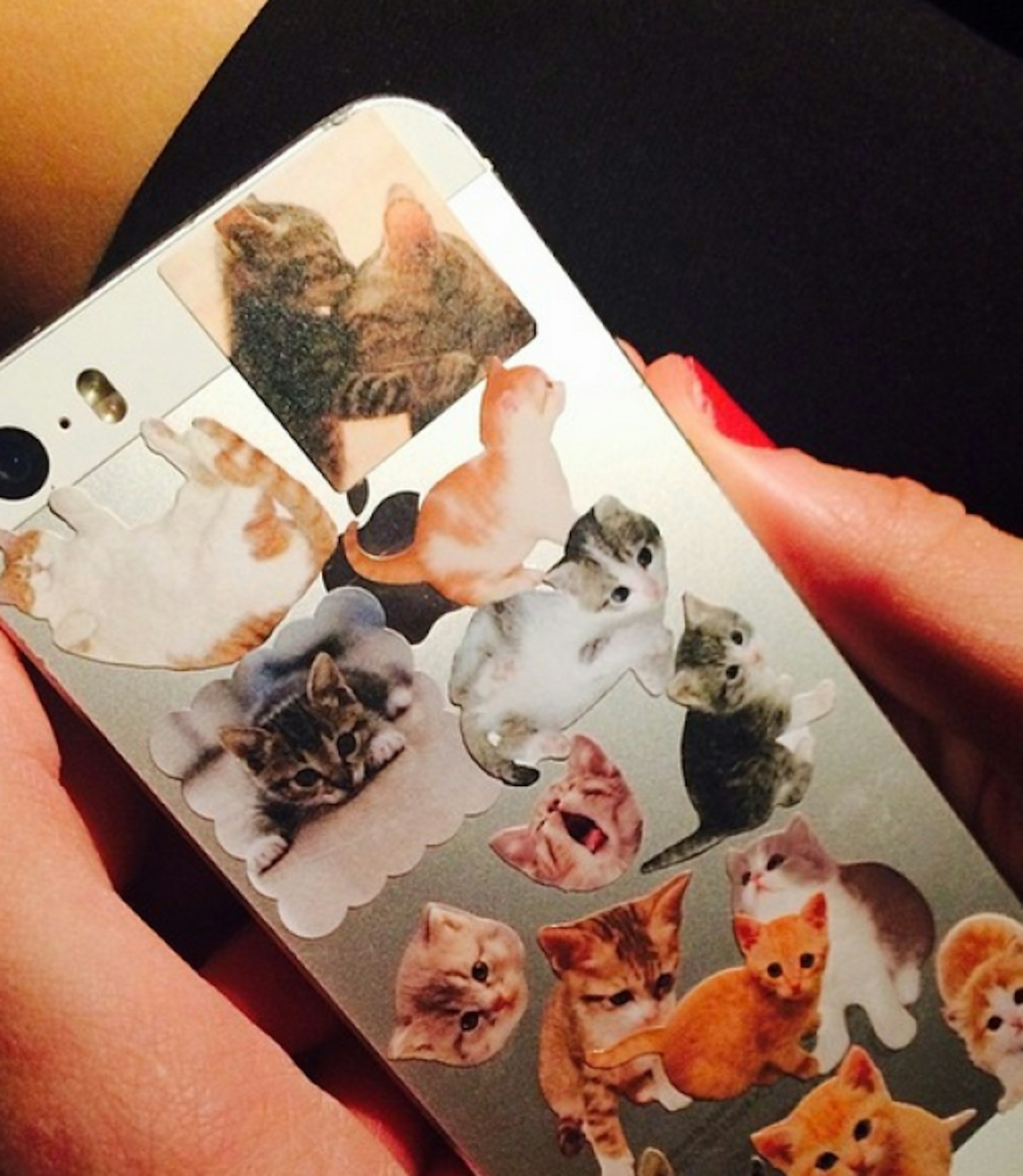 She has the best taste in phone covers...