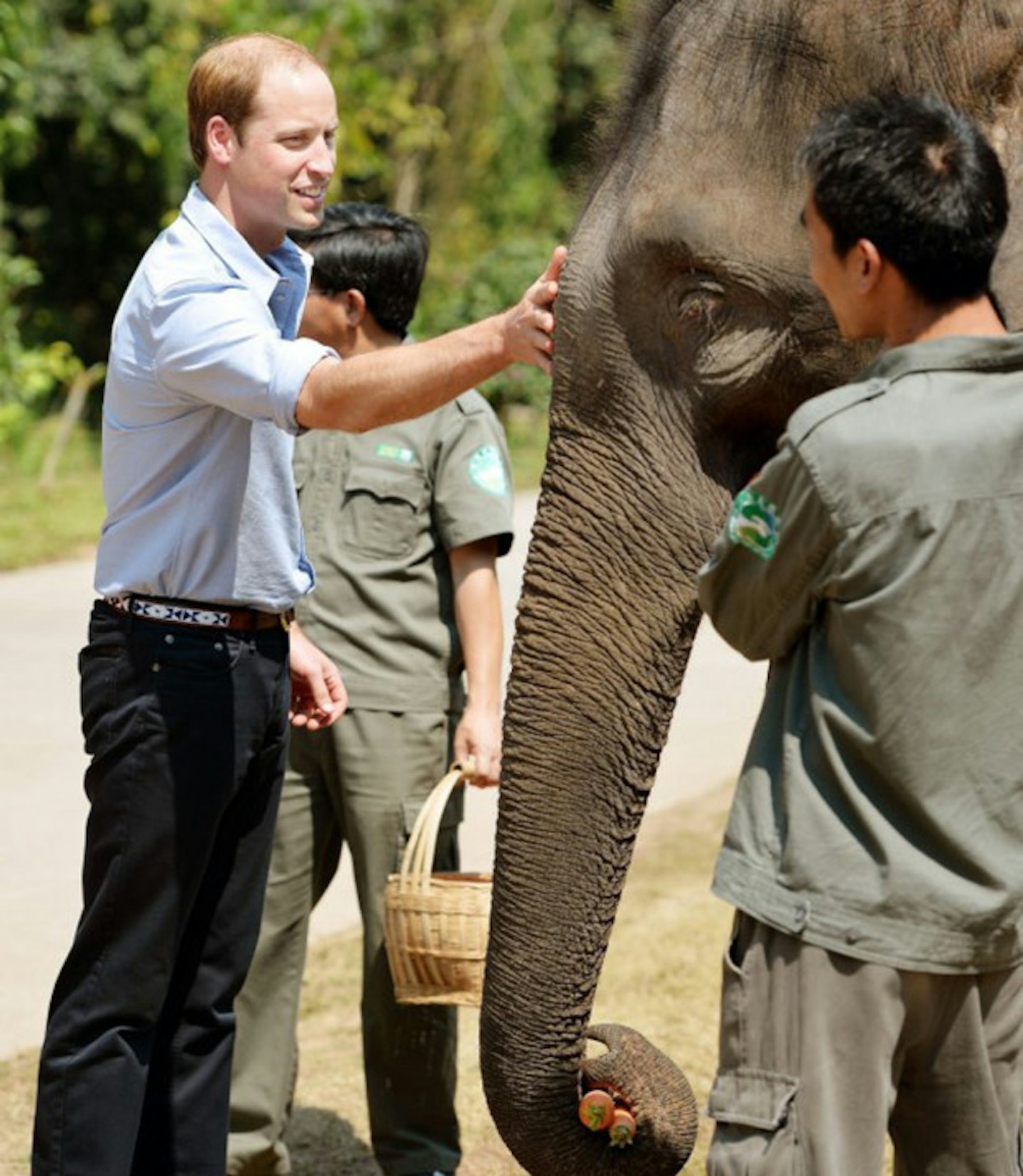 Prince-William-elephant1