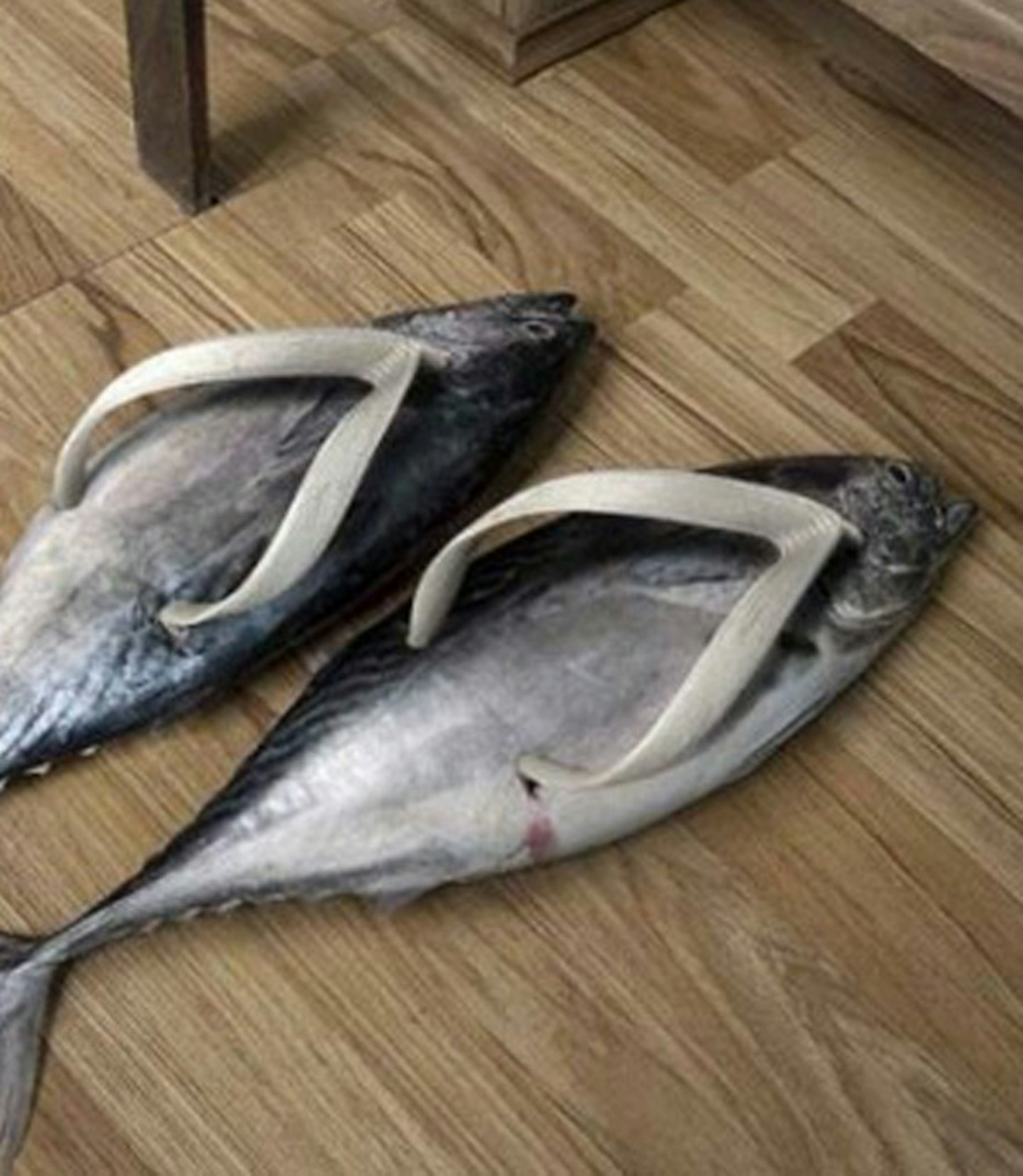 six-o-clock-shoes-fish-flip-flops