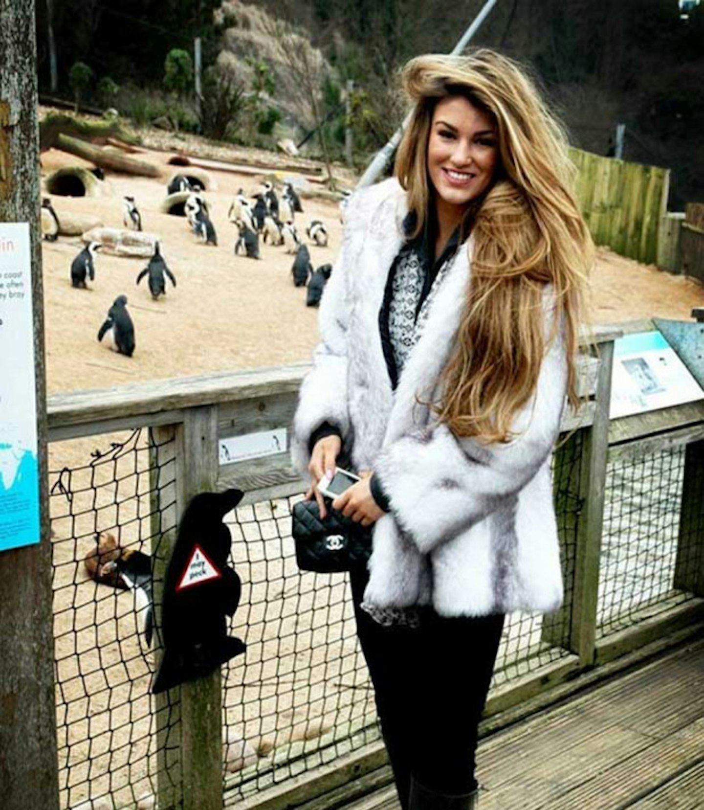 Amy Willerton and penguins!