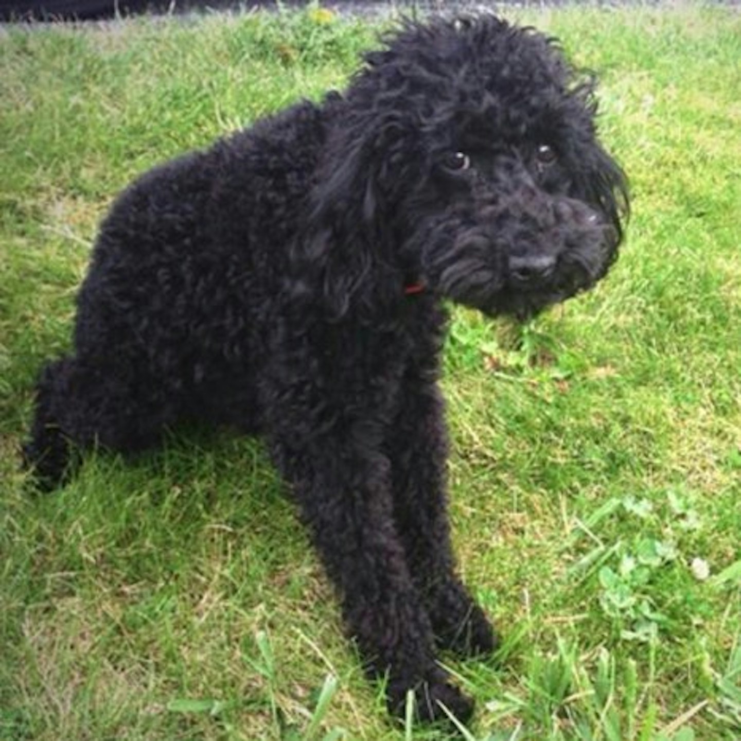 Kelly Clarkson is expecting her first child Closer