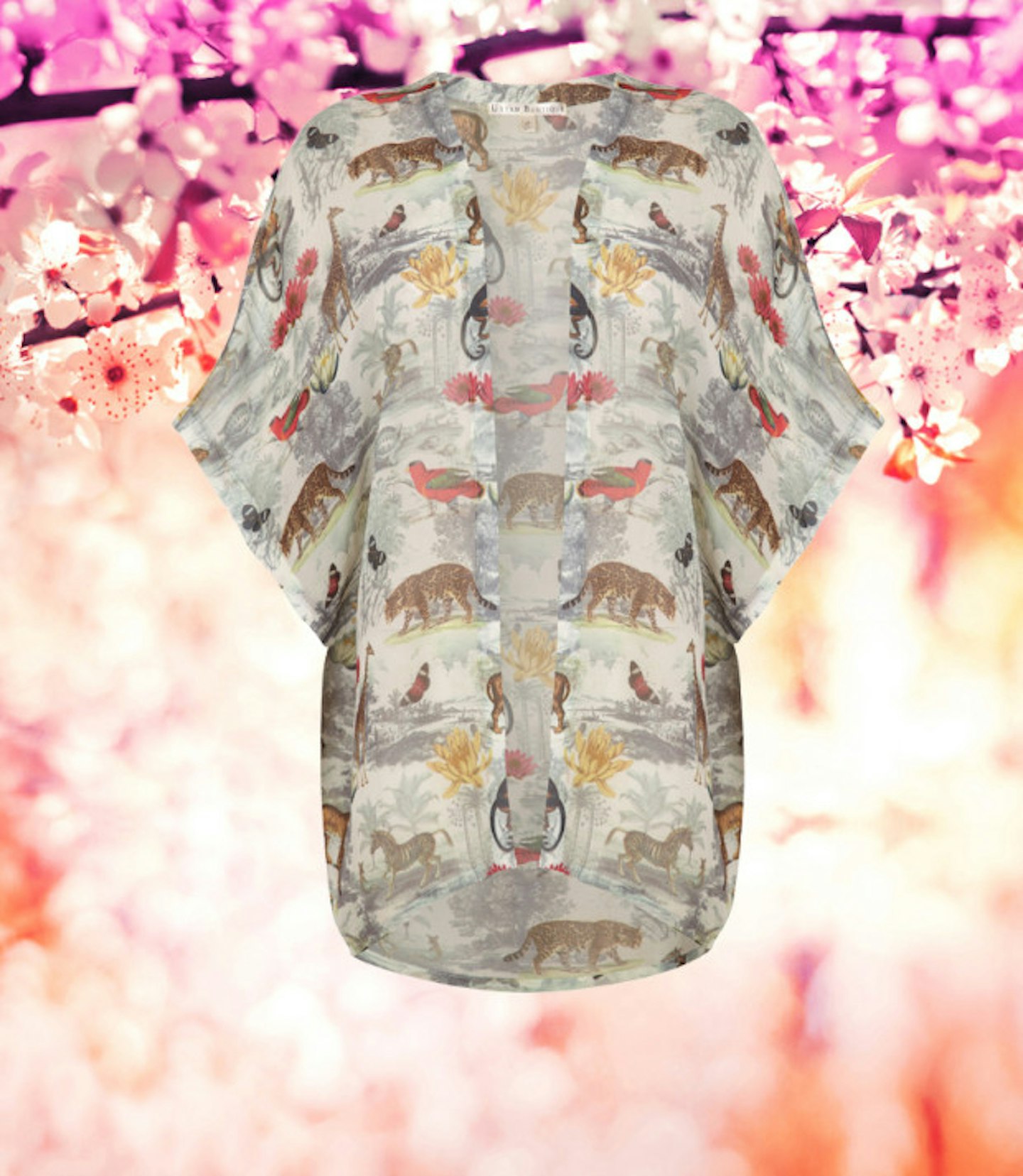 spring-buys-dinosaur-kimono