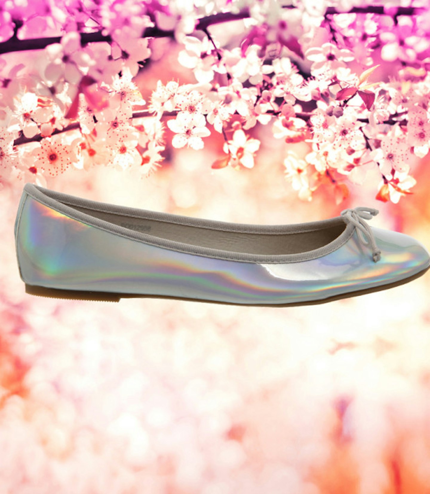 spring-buys-office-hologram-flats