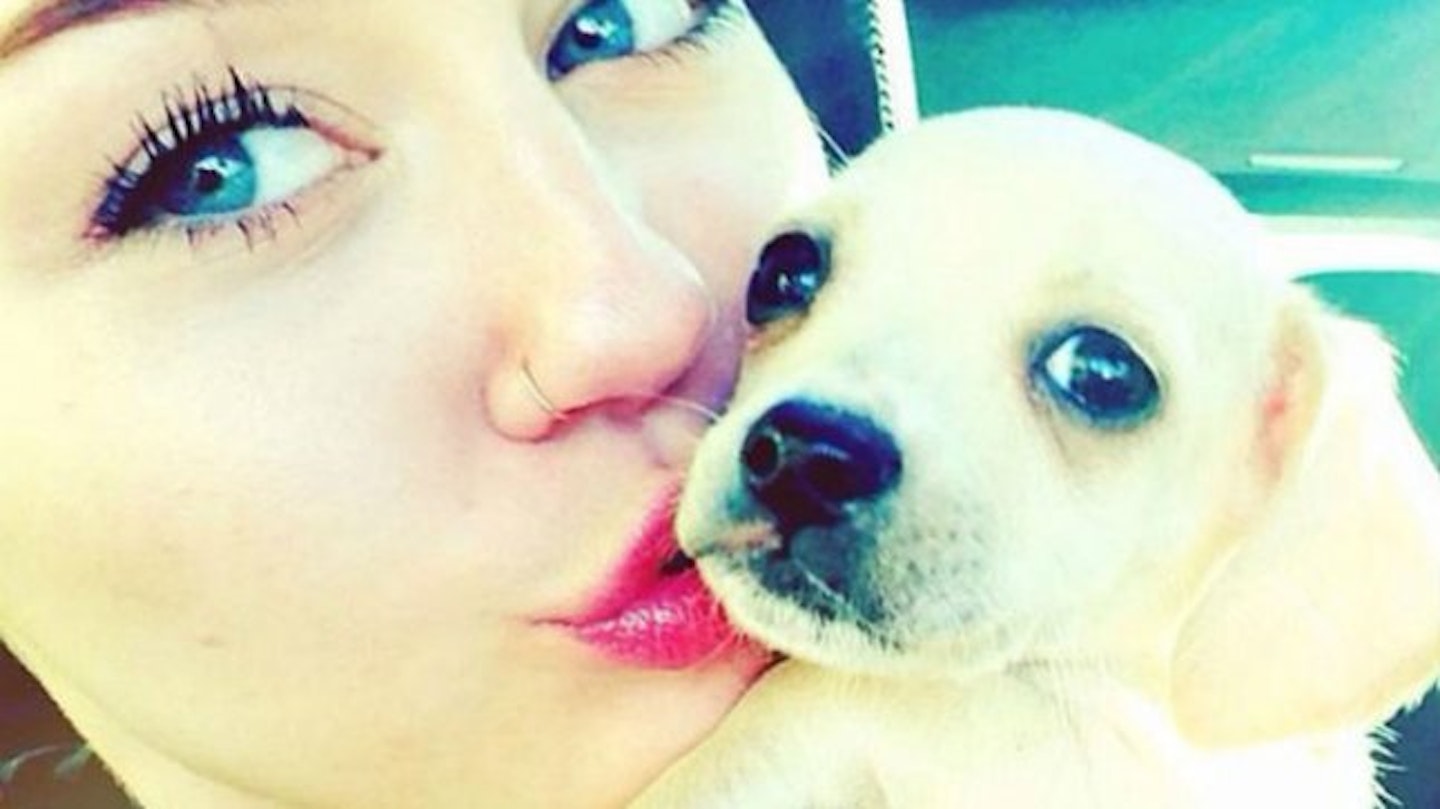 Mileyandpuppy