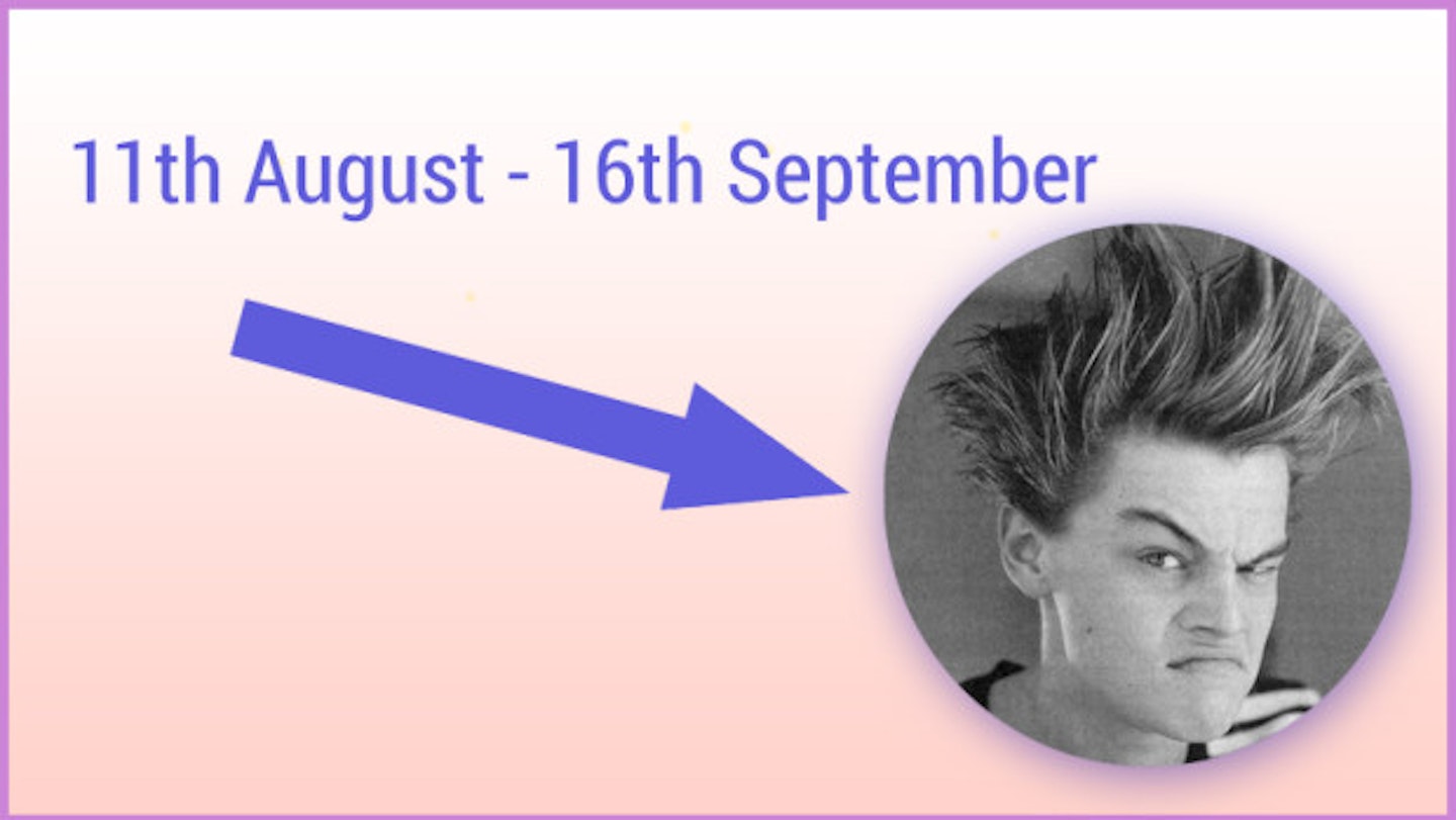 11th August - 16th September: Leo (the lion)