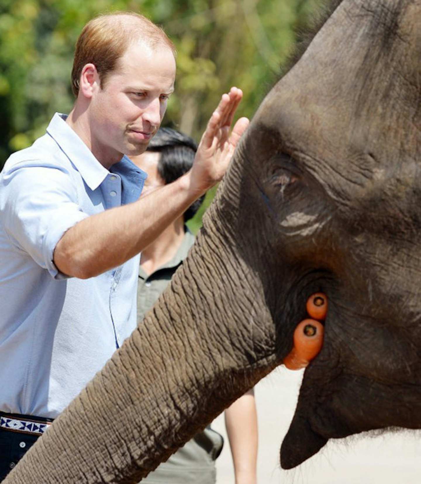 Prince-William-elephant2