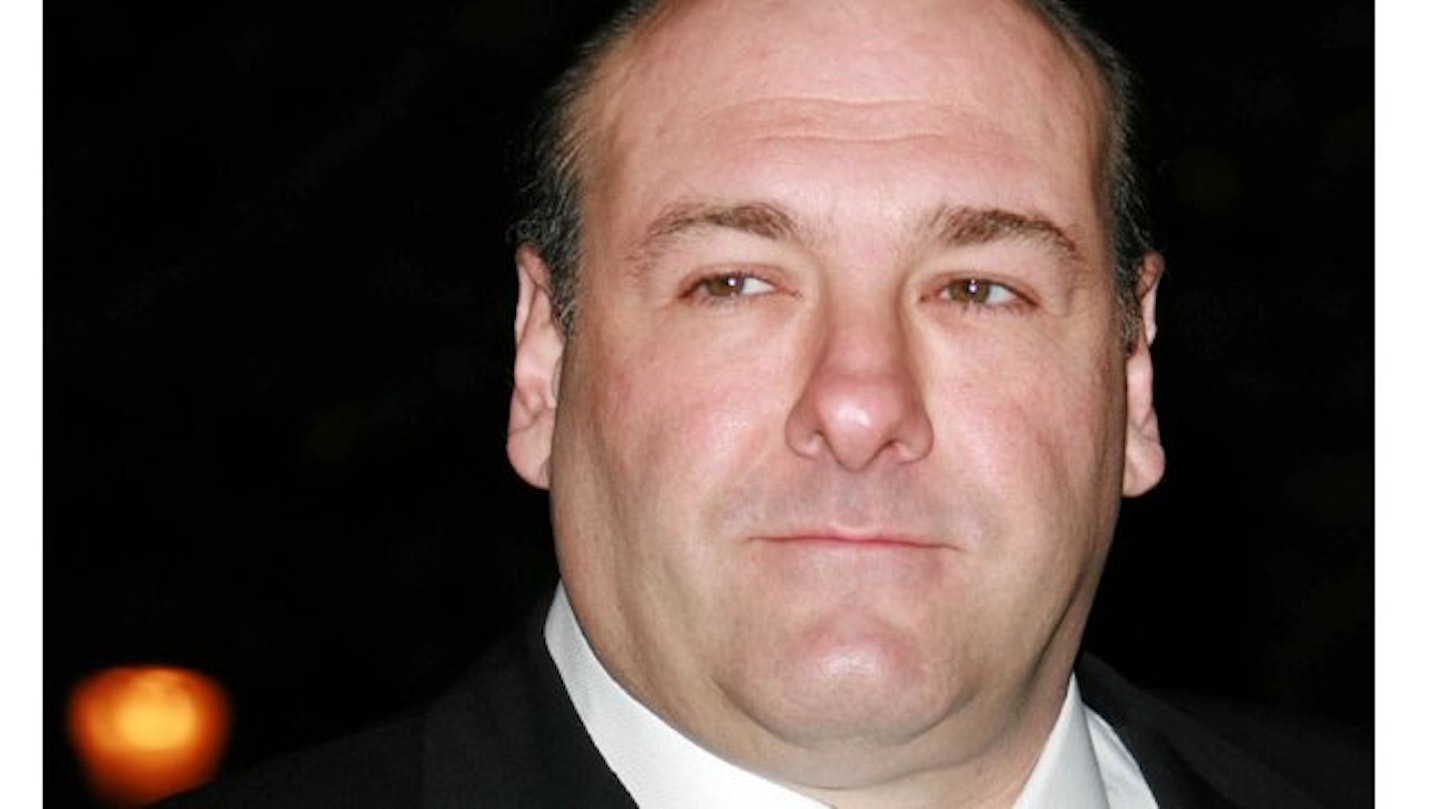 gandolfini2013