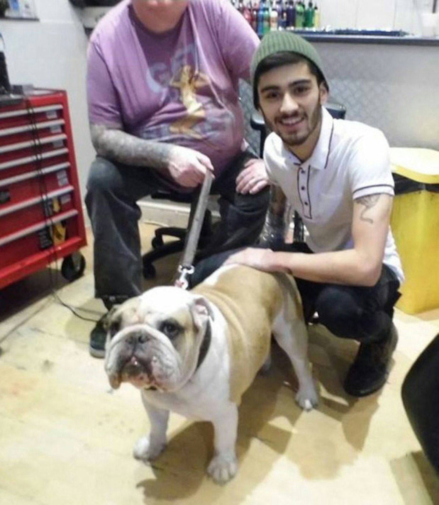 zayn-dog