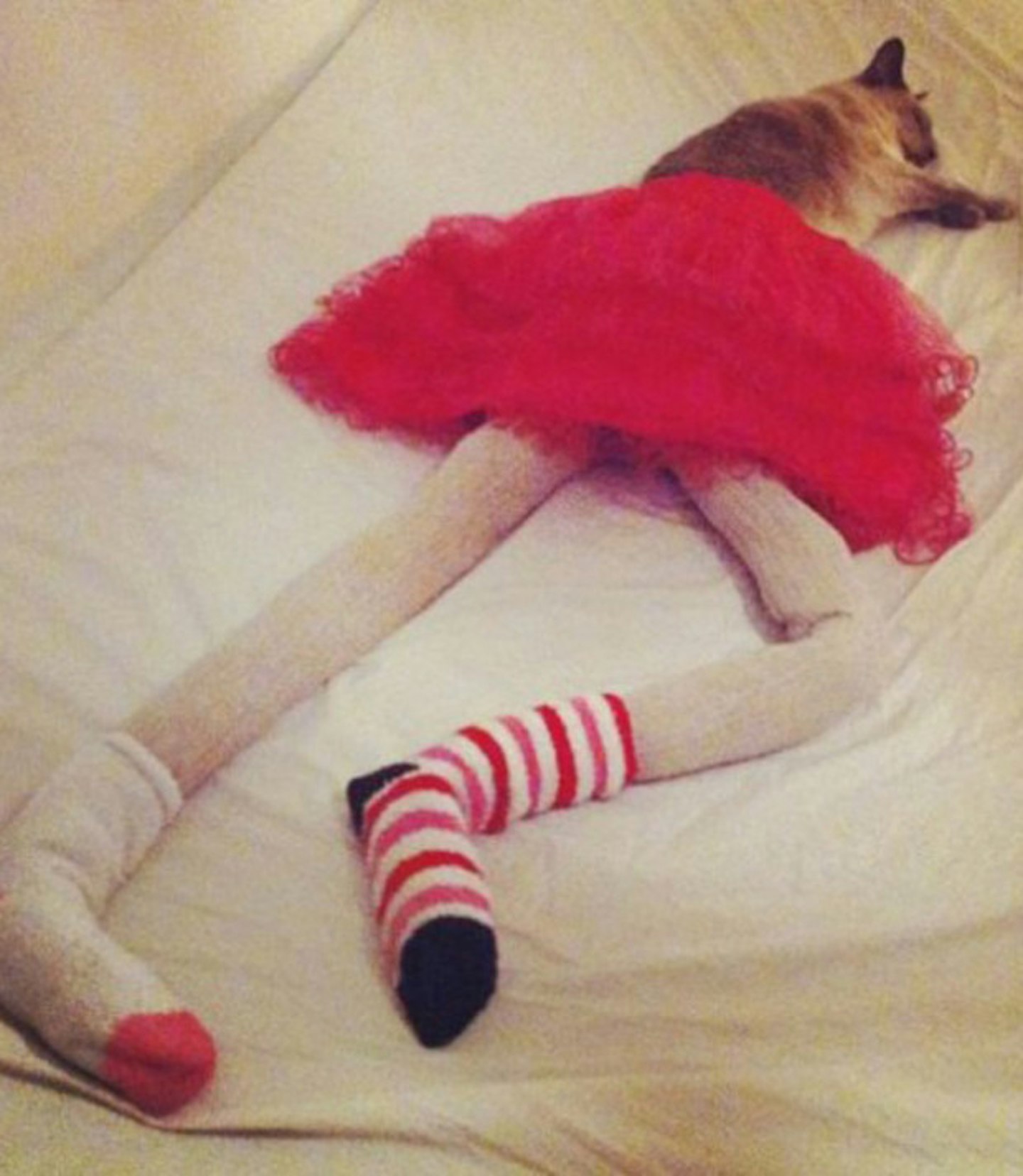 cat-tights6