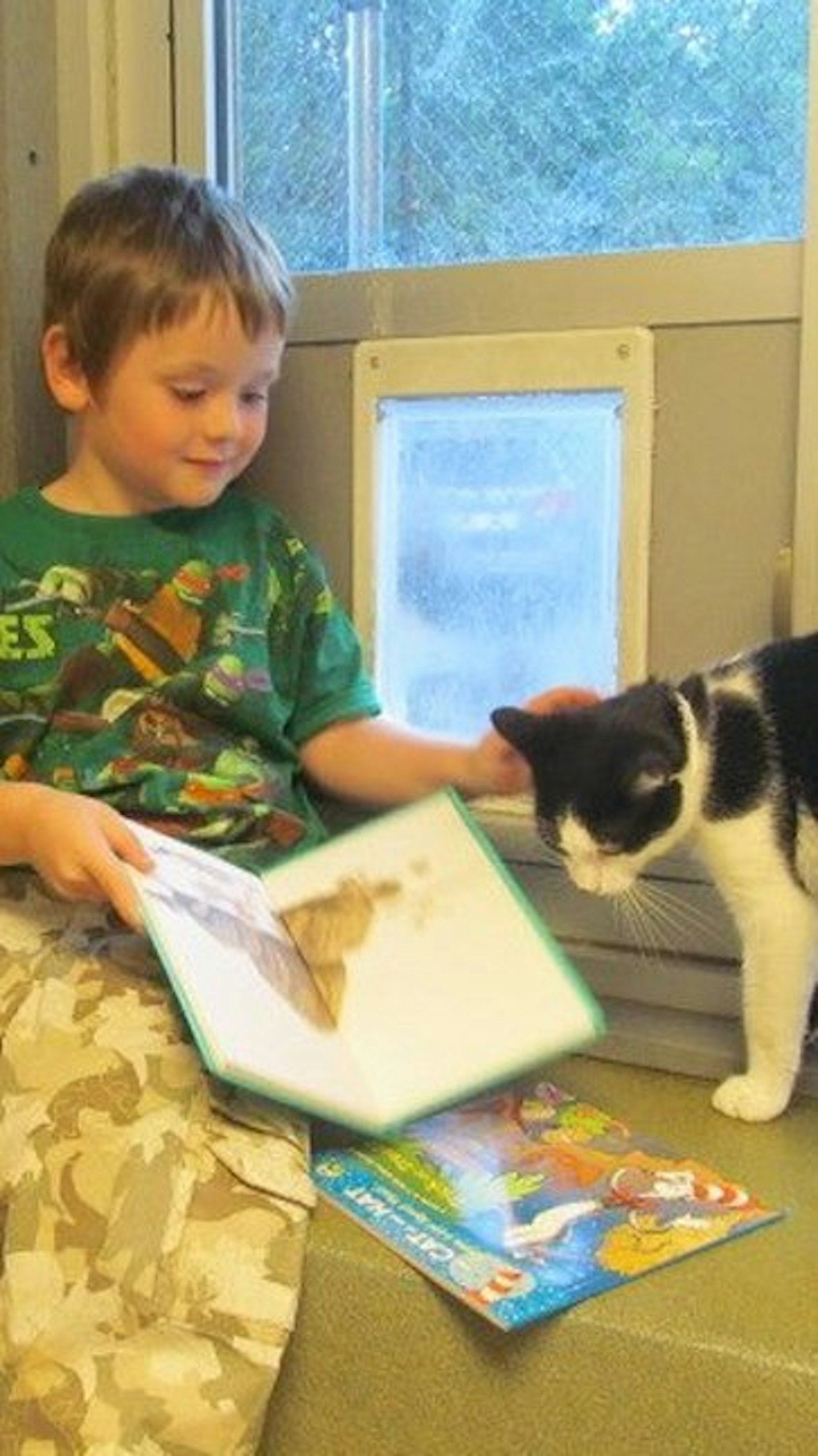 cats12
