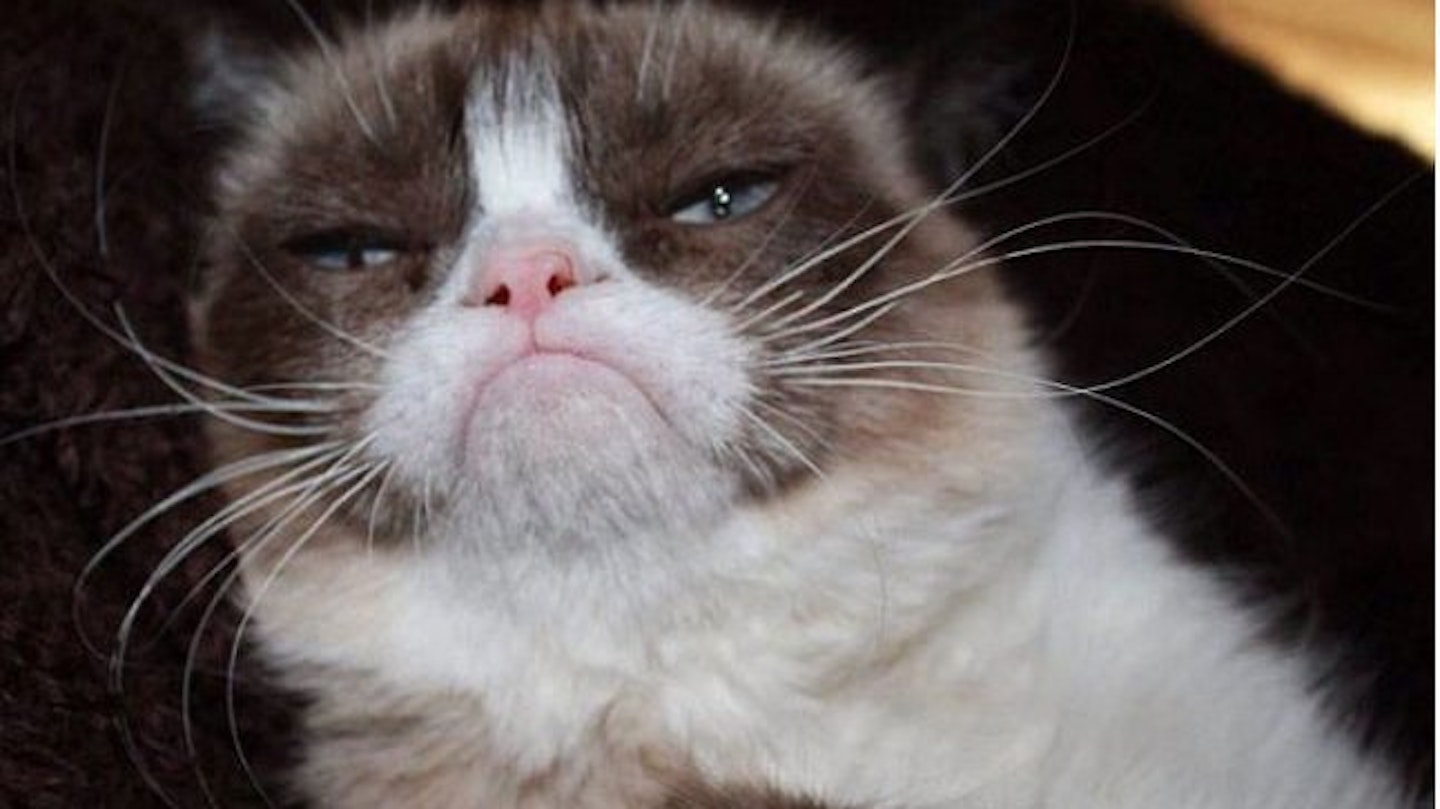 CAT10