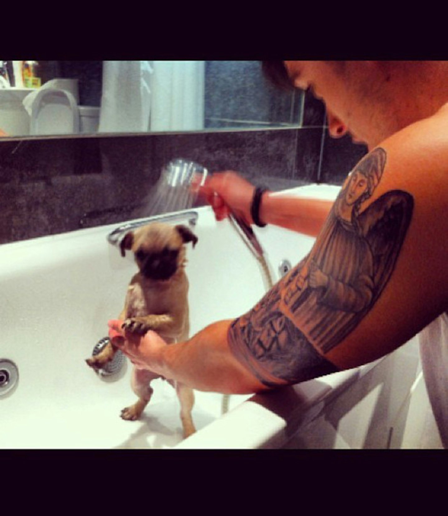 jj-hamblett-tattoo-dog-bath