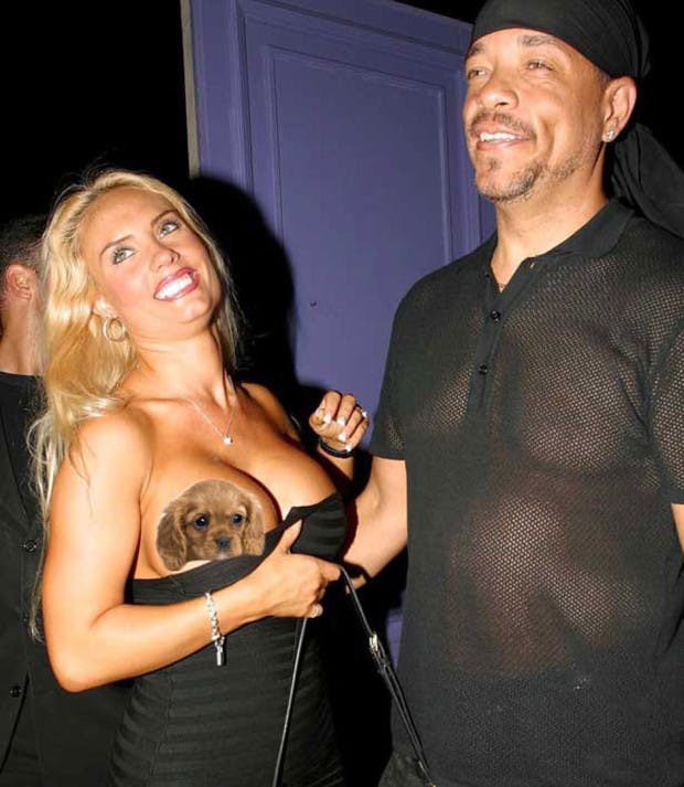 Ice Ts Wife Coco Austins Most Outrageous Outfits- Heat Celebrity Heatworld pic