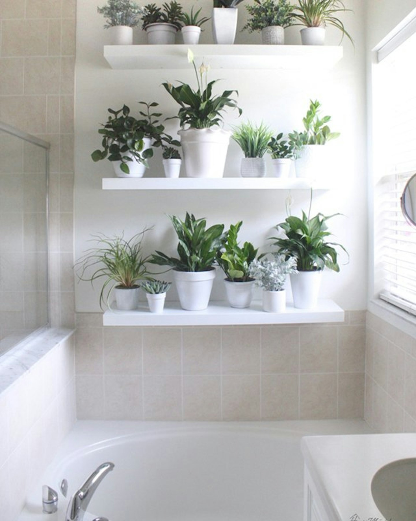 bathroom-pinterest-ideas-plant-wall-