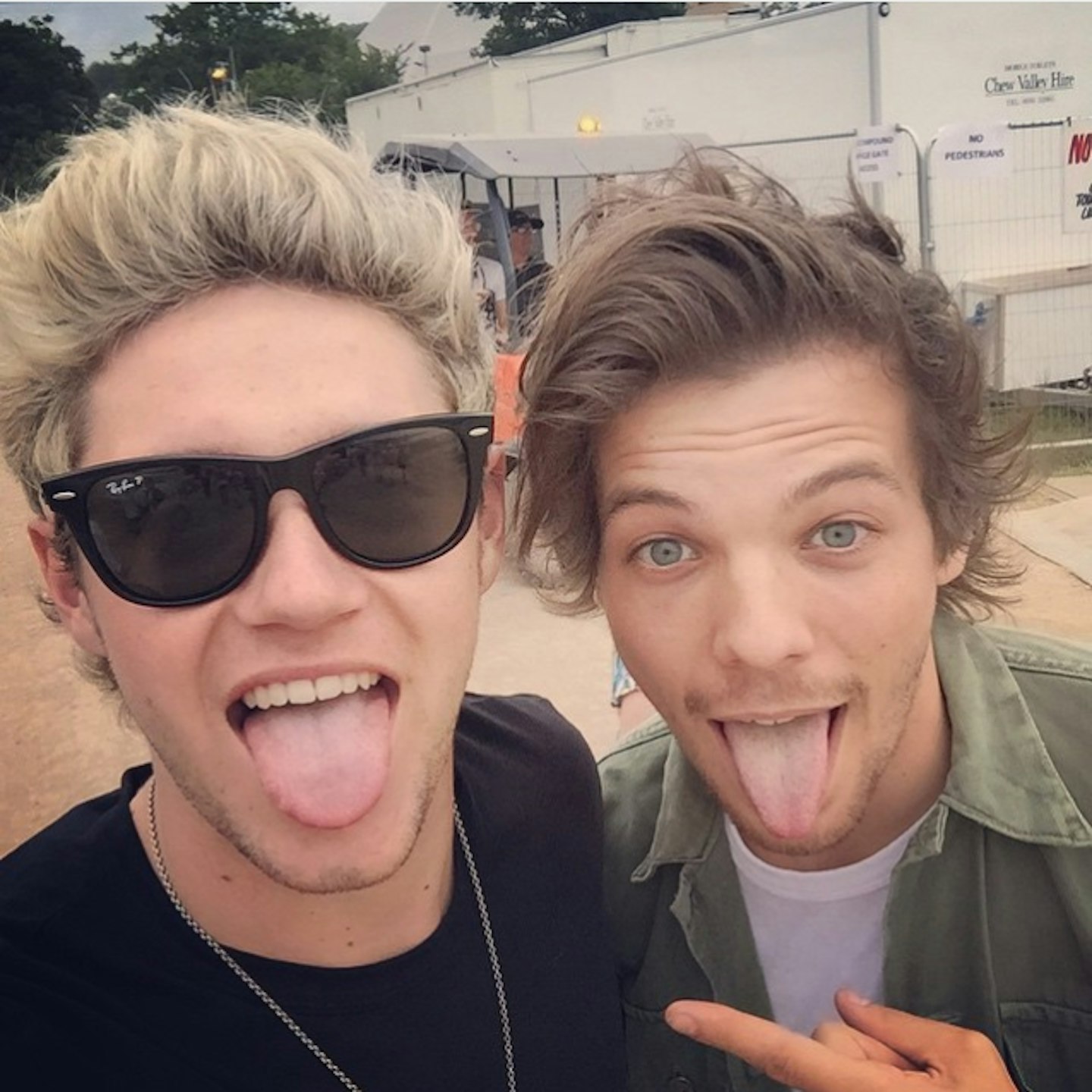 Niall-horan-louis-tomlinson-glastonbury-2015