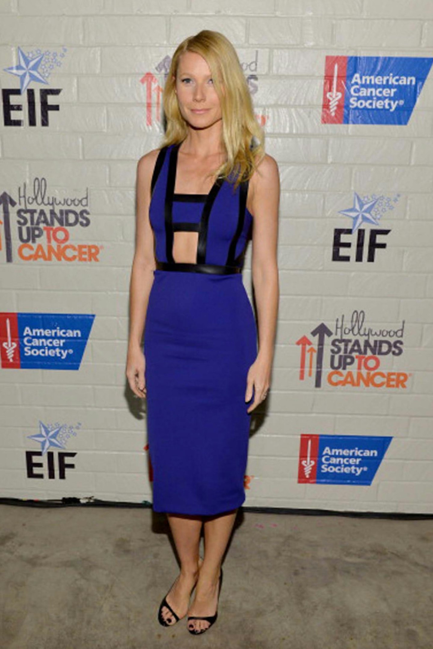 Gwyneth Paltrow attends Hollywood Stands Up To Cancer Event, January 2014