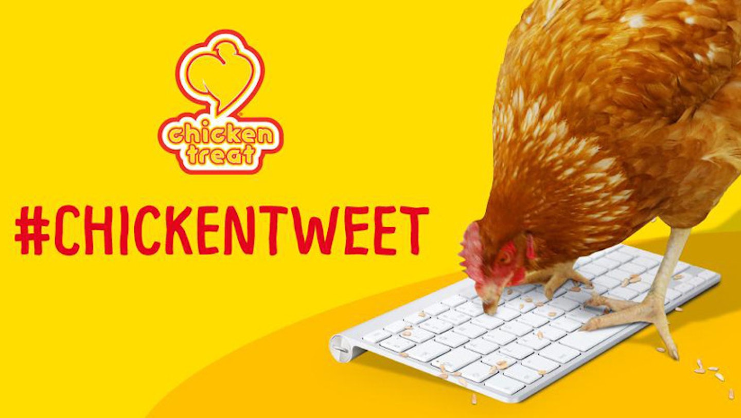 chicken-tweet-01