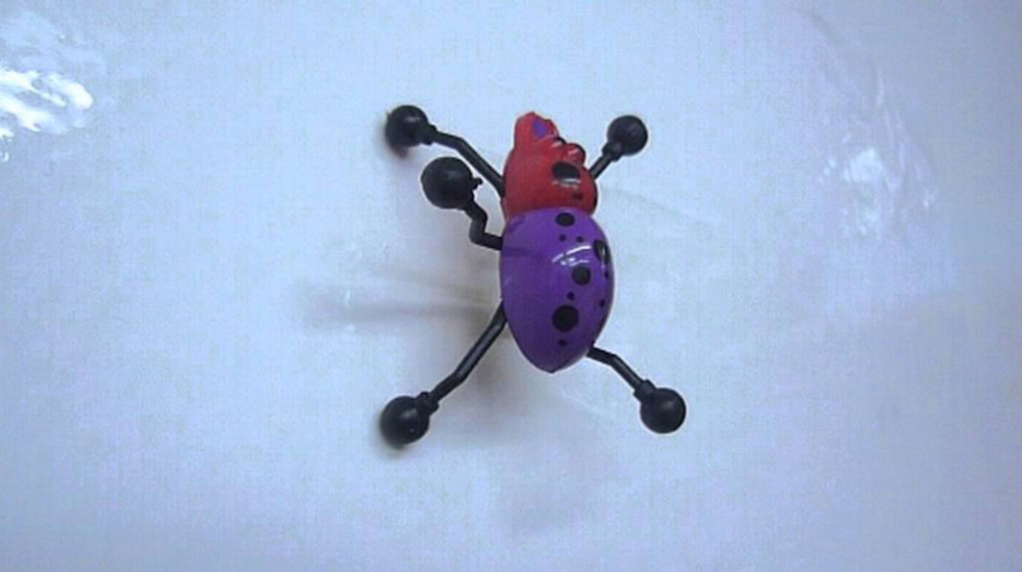Wacky Wall Walker