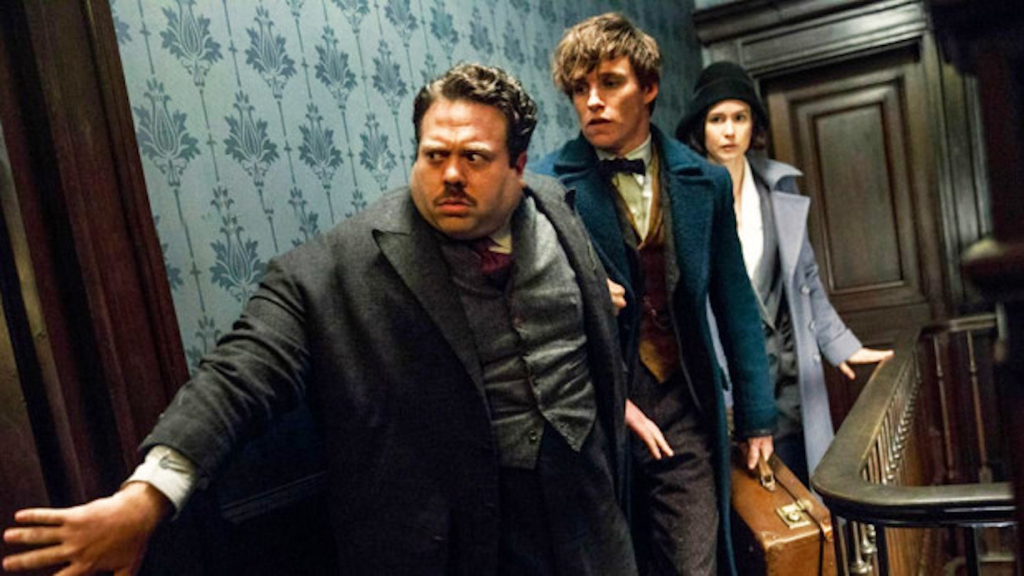 Everything You Need To Know About Fantastic Beasts And Where To Find Them