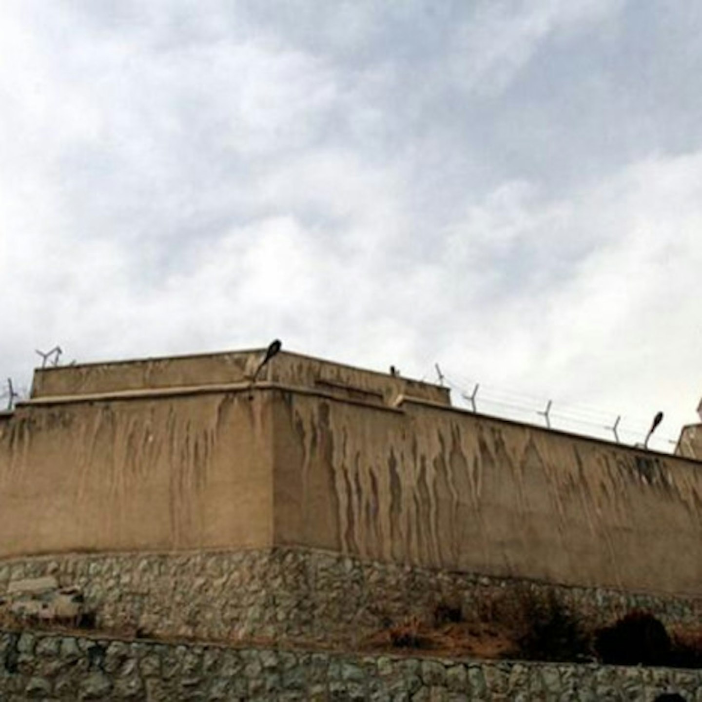 Roya faces 20 years in an Iranian prison