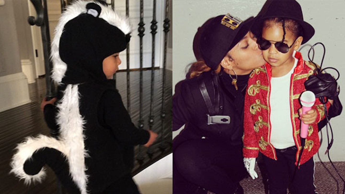 north-west-blue-ivy