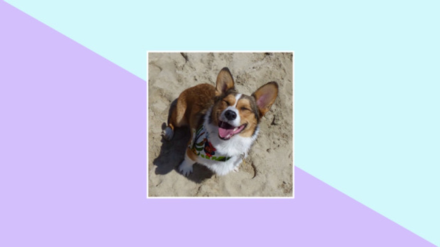 This gal who's just so happy to be here