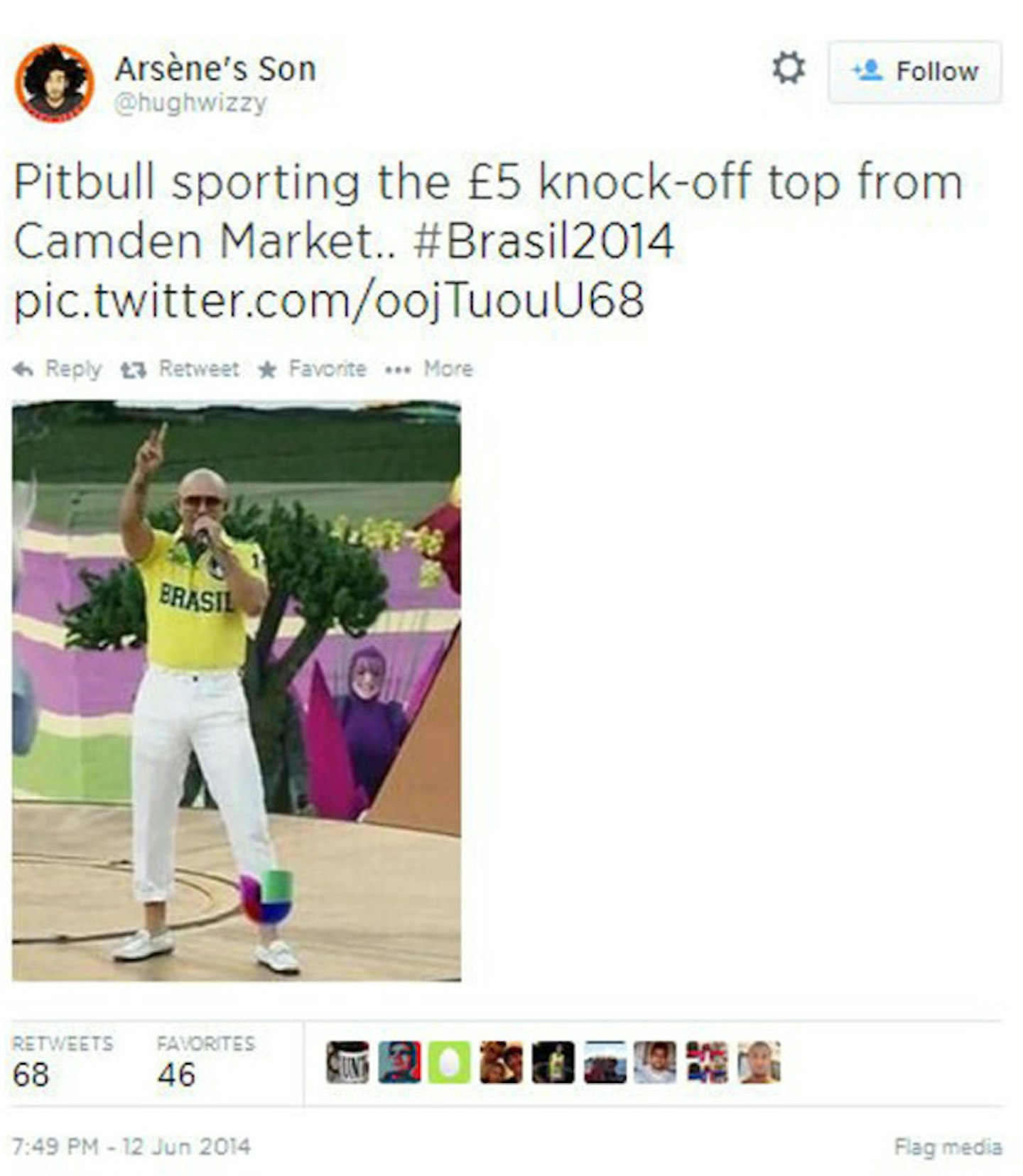 pitbull5