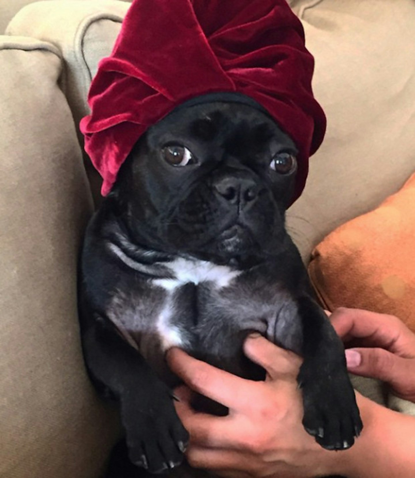 Practicing my glamour poses. Mommy says "Now Miss Asia look forlorn.