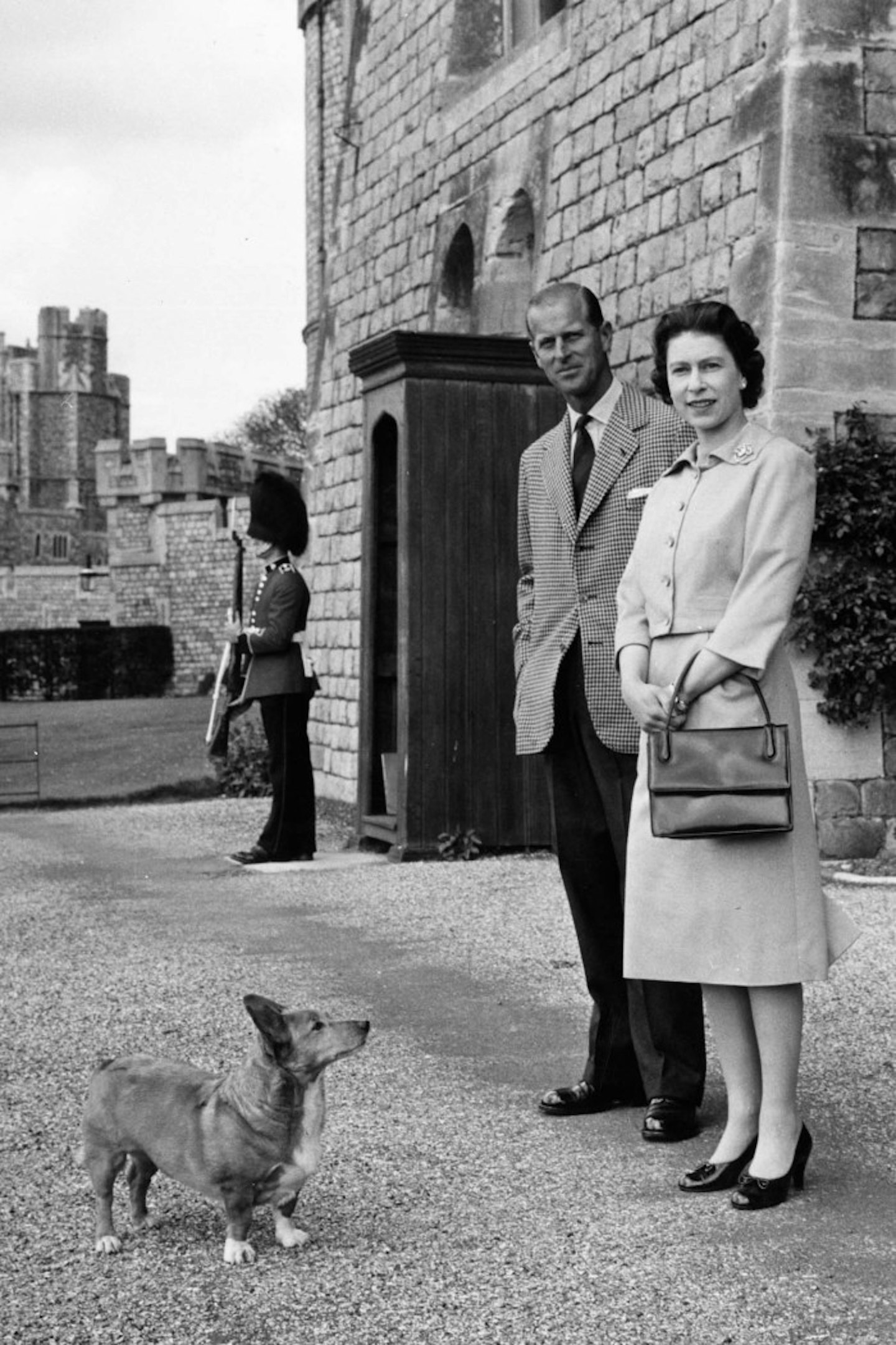 A skirt suit, accessorised with a Corgi is a real timeless look. Phillip, quit photo bombing me!