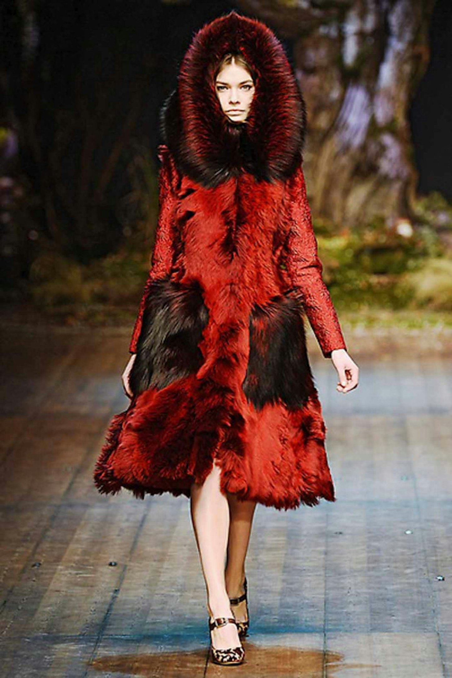dolce and gabbana aw14 6
