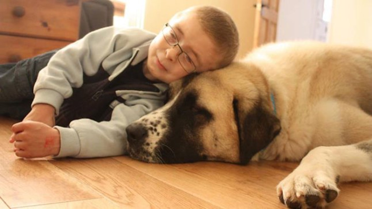 Owen and Haatchi