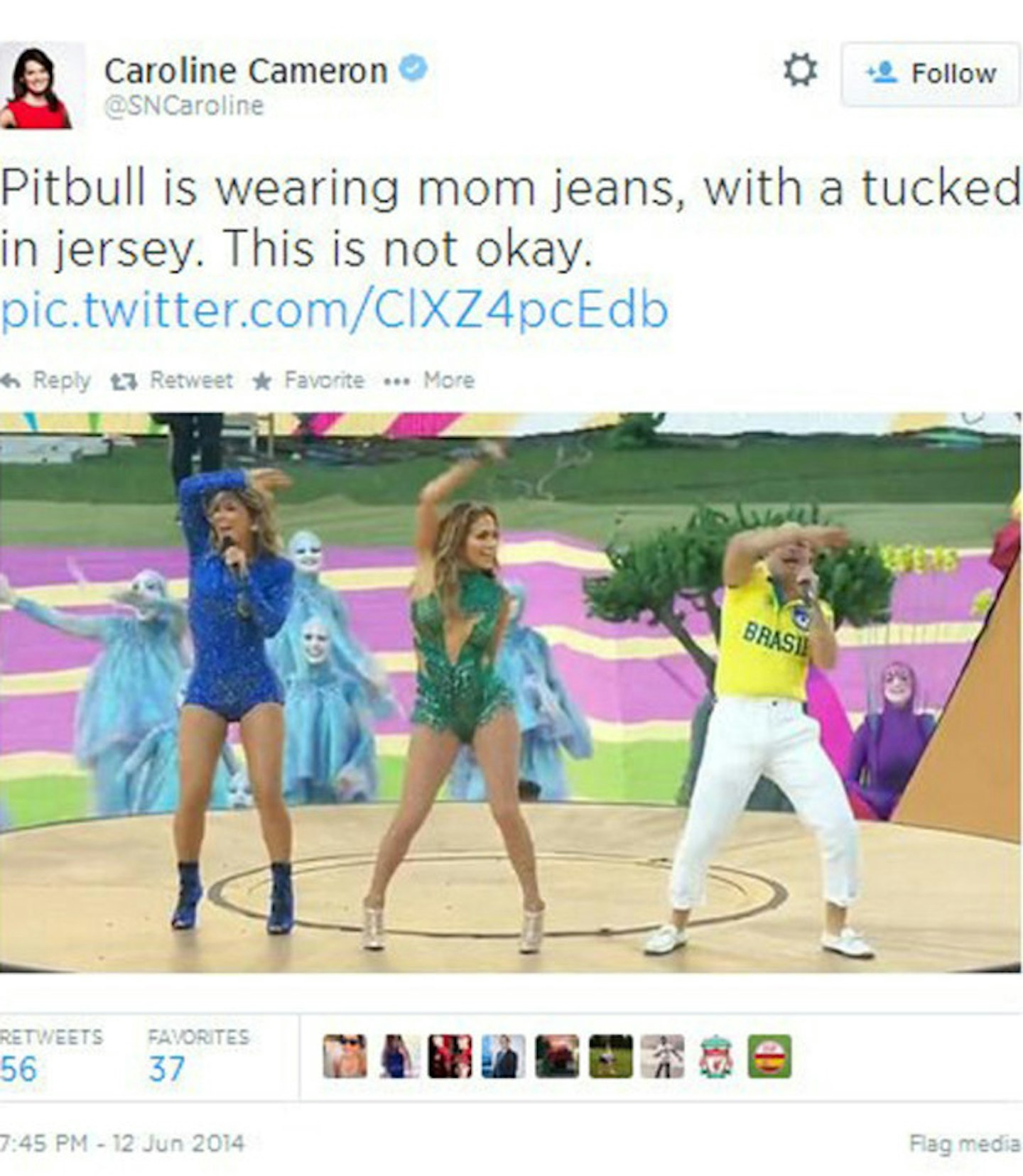 pitbull3