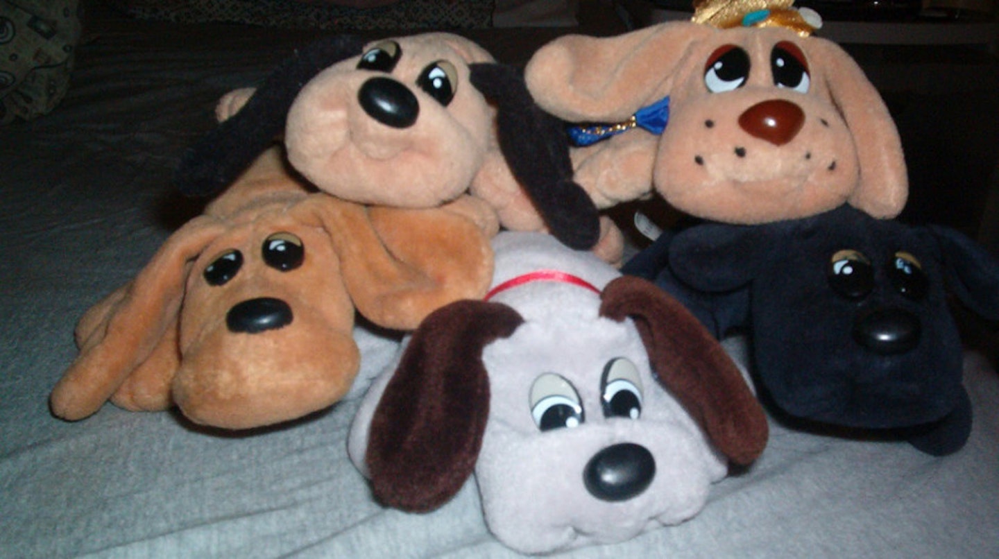 Pound Puppies