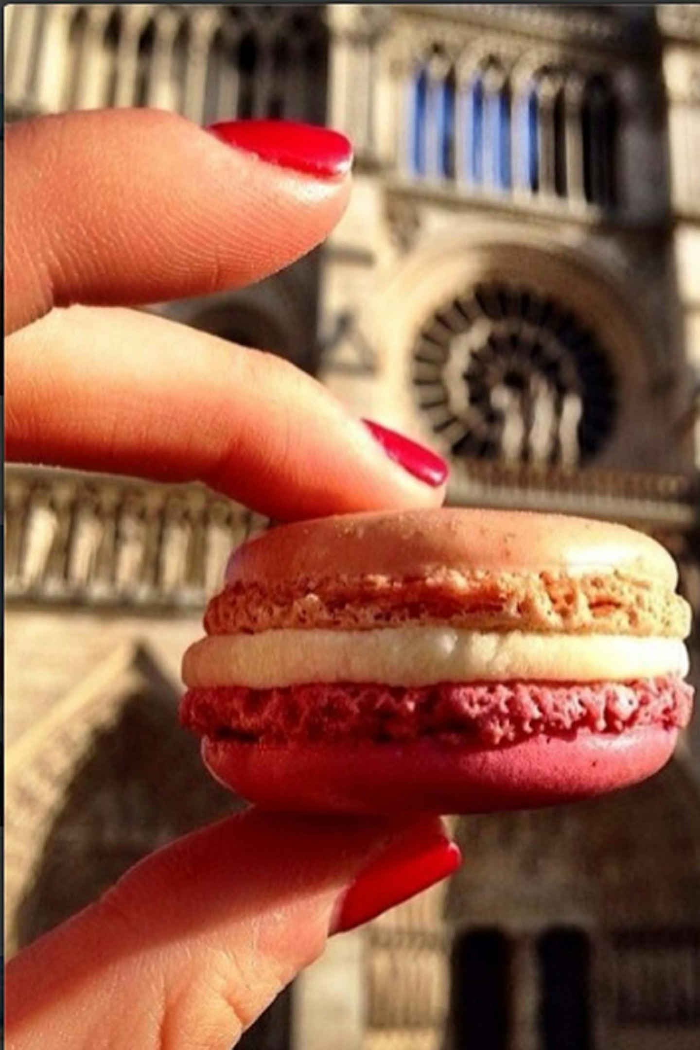 food instagram picture macaroon