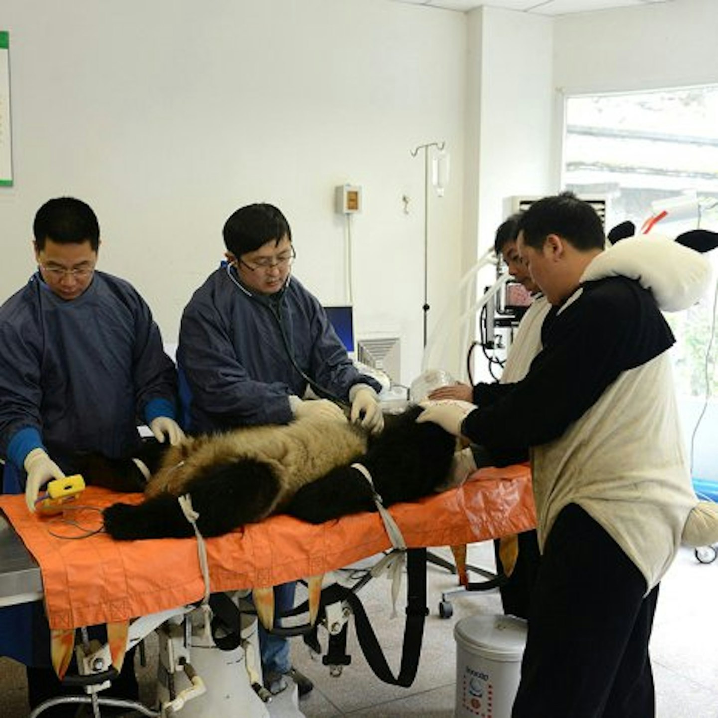 Zhang was given the all-clear during her health examination