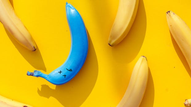 Bananas As You Know Them Are Close To Extinction Grazia