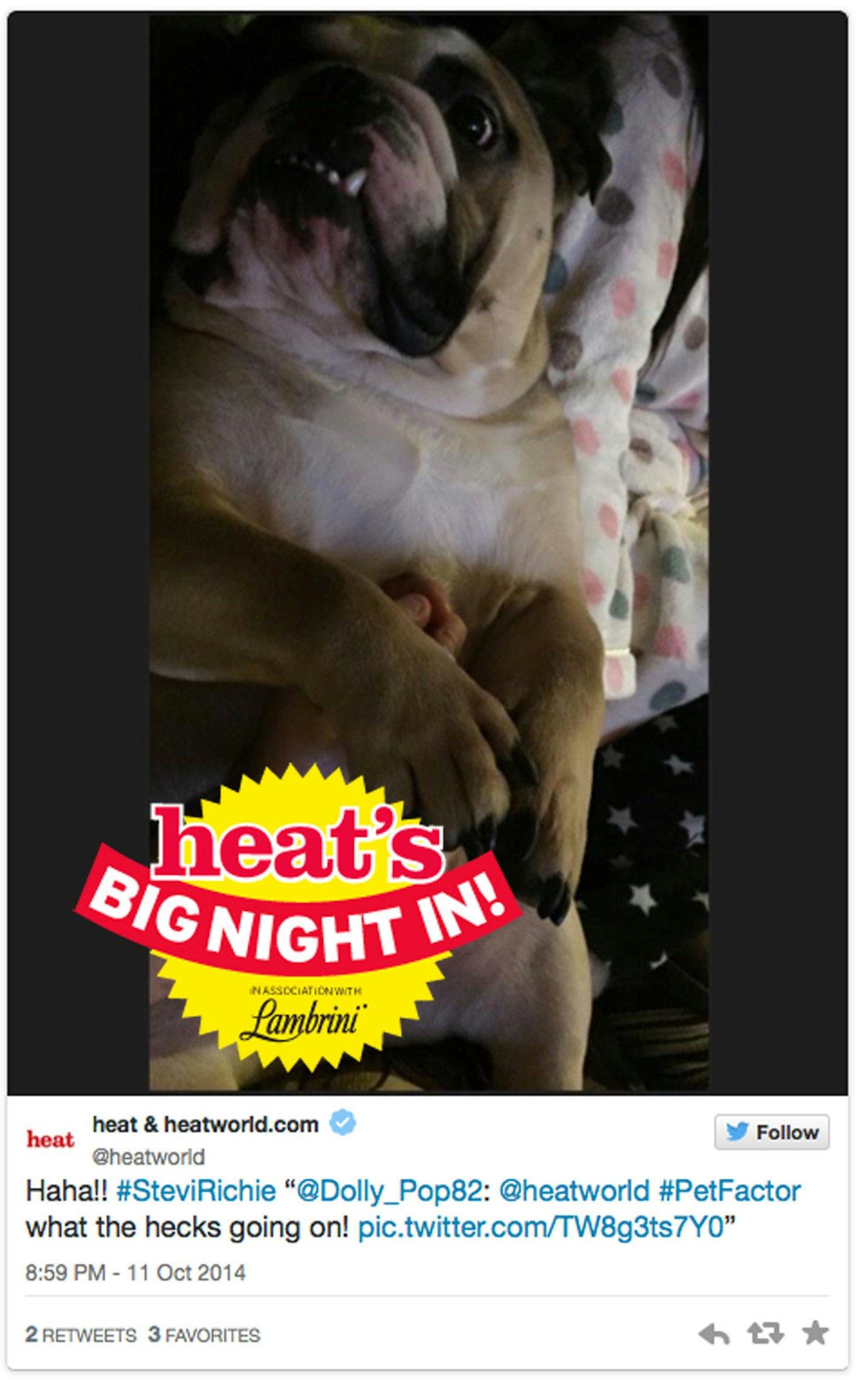 #PetFactor