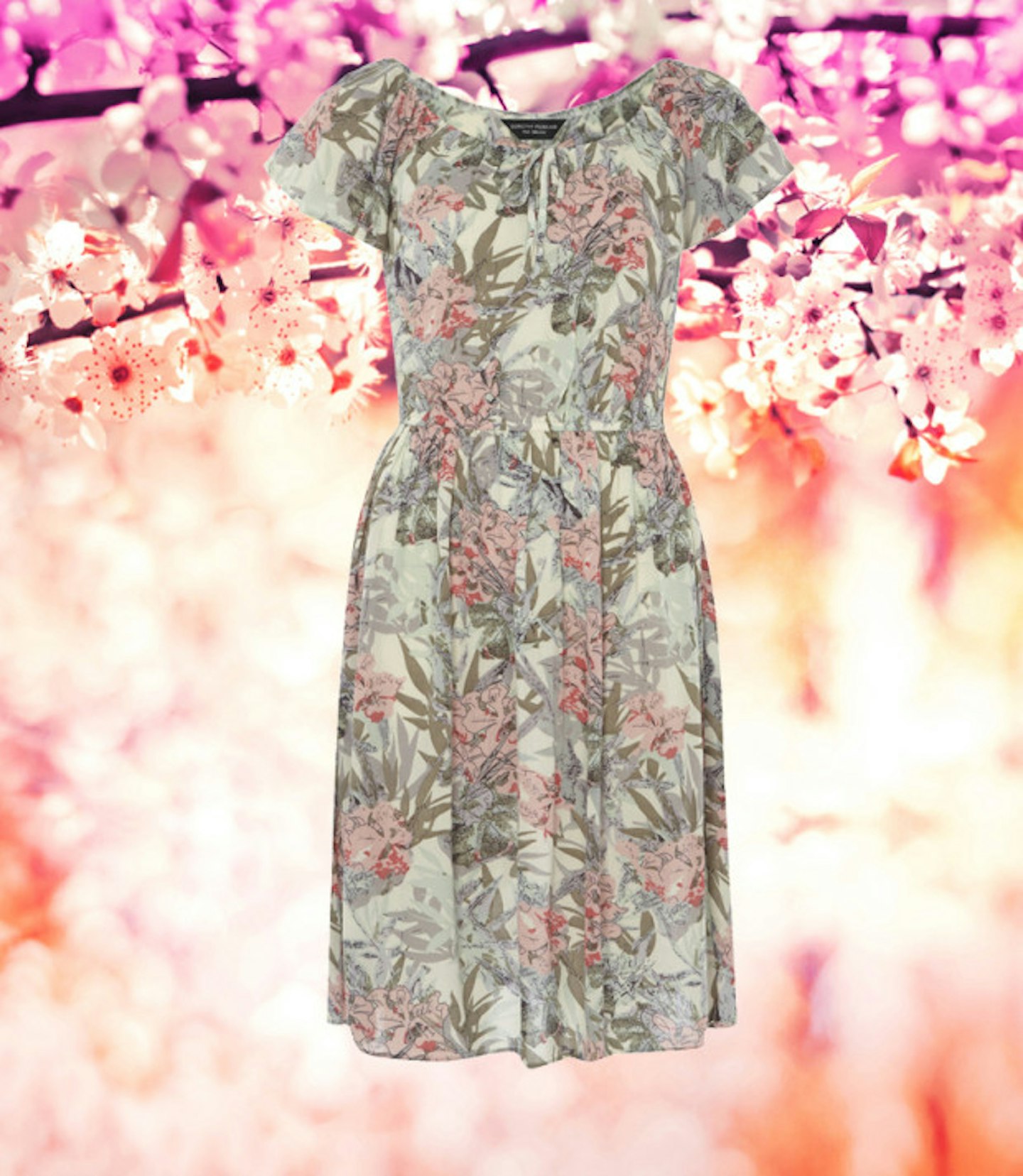 spring-buys-floral-dorothy-perkins-dress