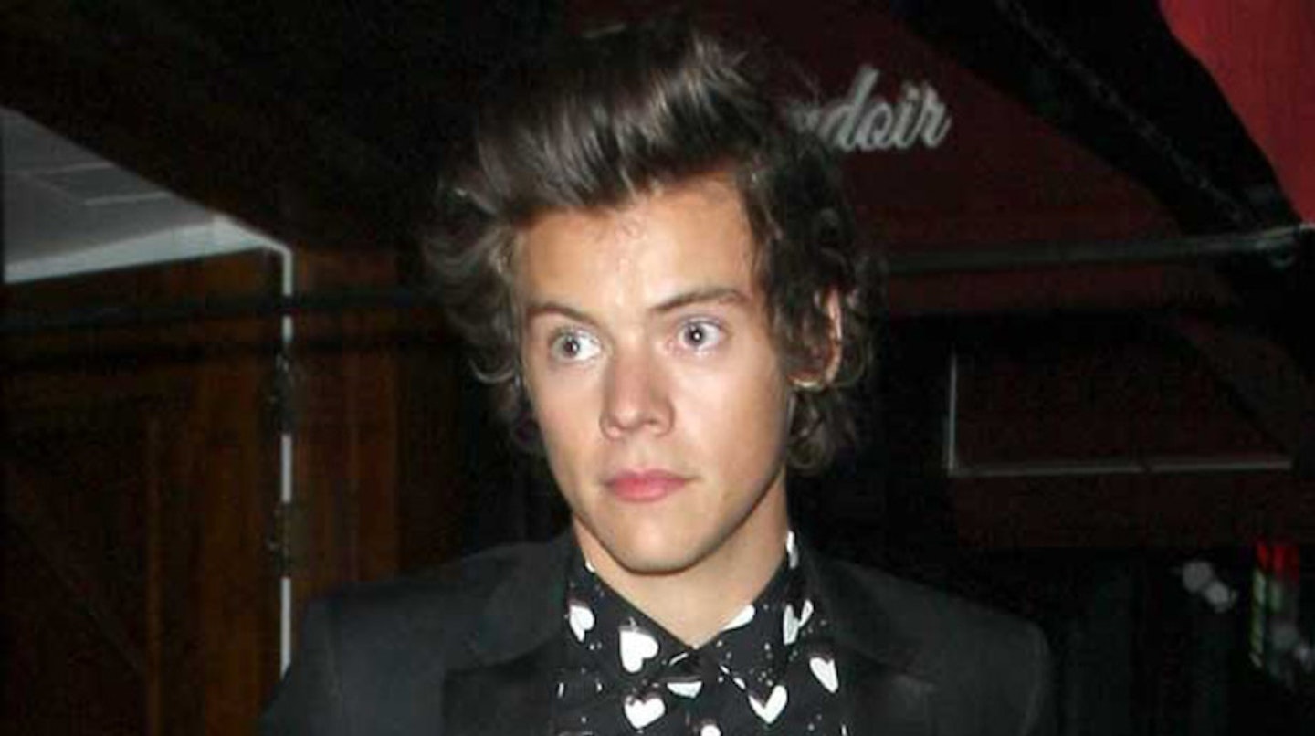 harry-styles-party-animal