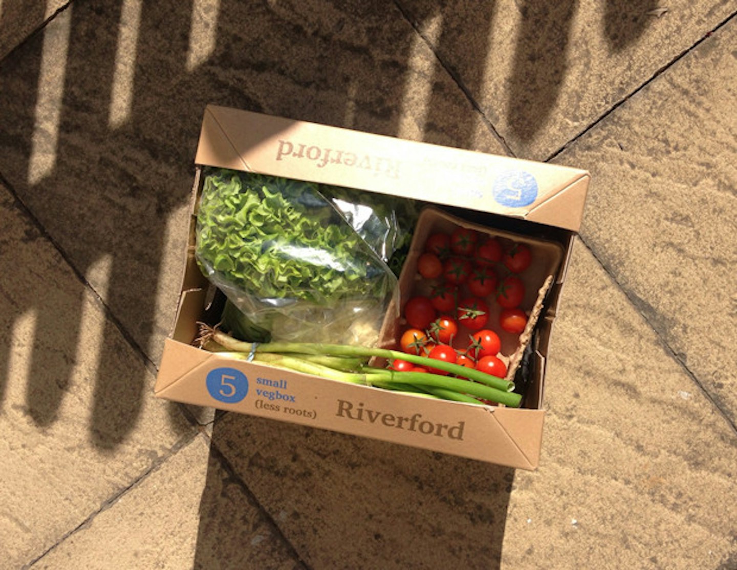 riverford-organic-vegbox
