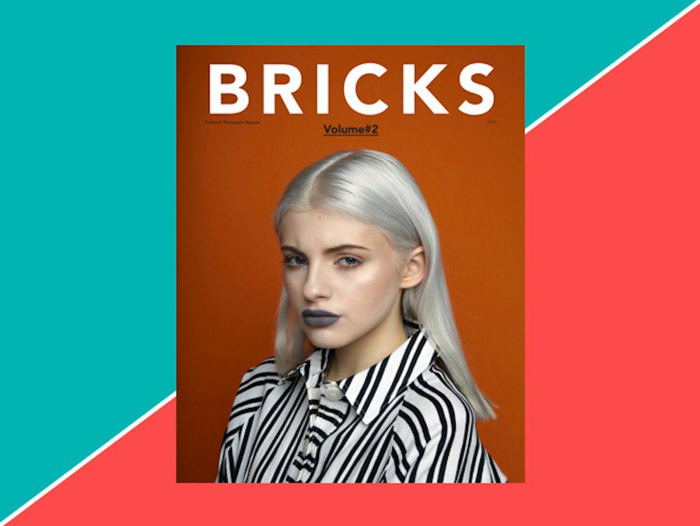 bricks