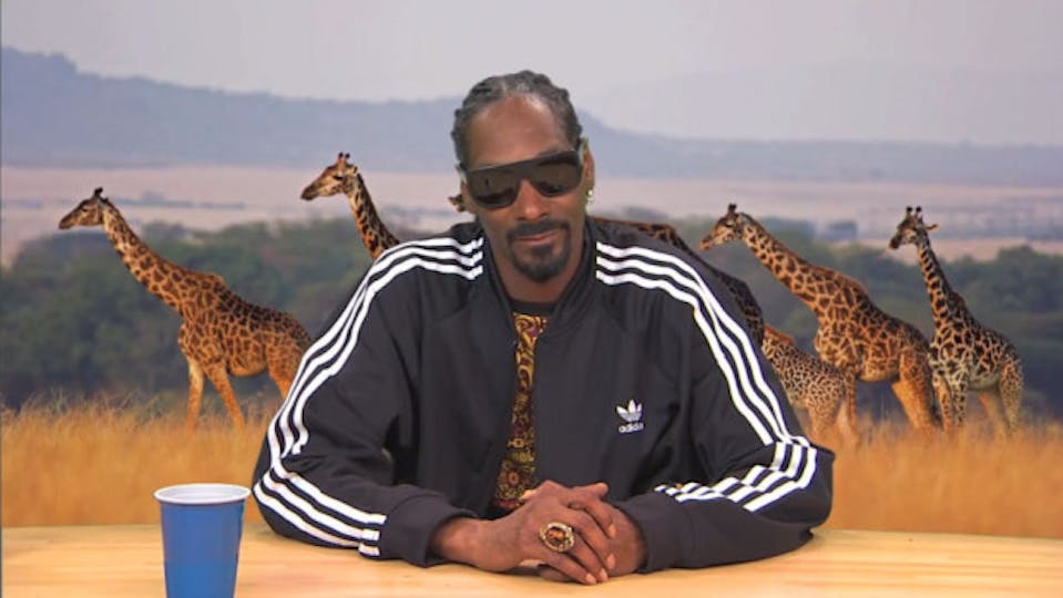 Something To Watch (Loads) On Your Lunchbreak Snoop Dogg’s Nature
