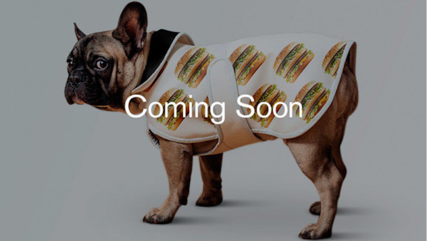 Big Mac Dog Coat (Not The Dog)