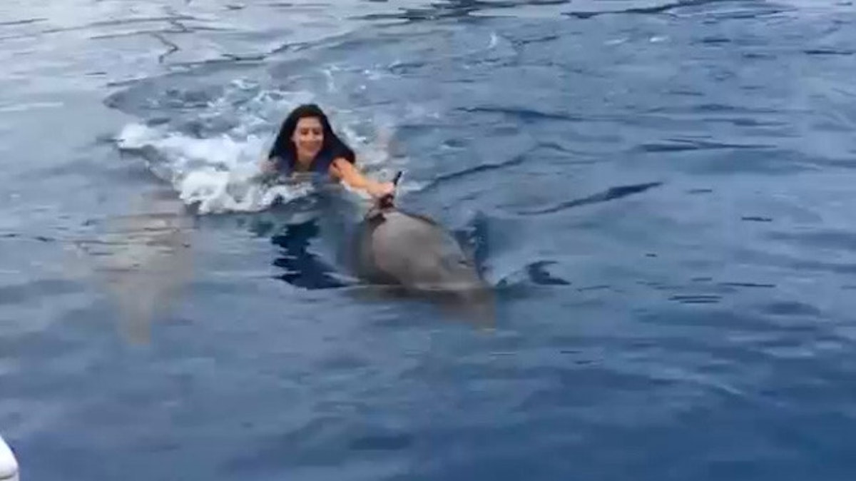 PHOTOS: Kim Kardashian splashes around with dolphins in new video ...