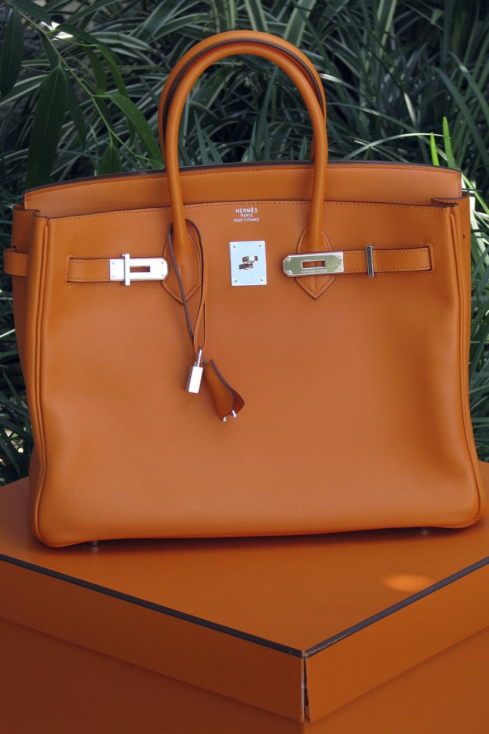 Hermes snakeskin hot sale bag price