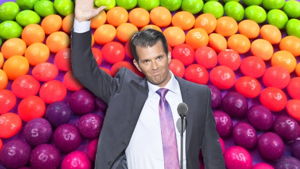 Donald Trump Jr. Compared Syrian Refugees to Poisoned Skittles