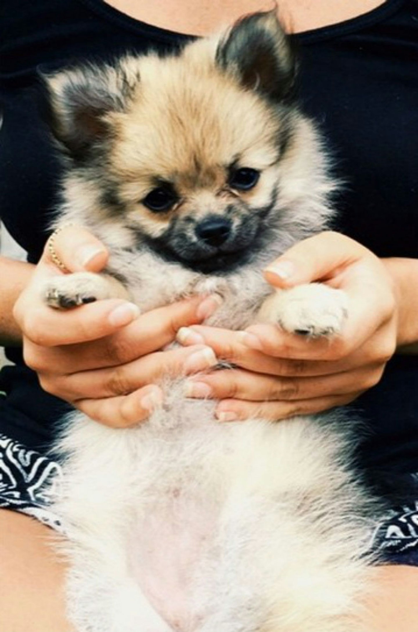 charlotte-crosby-puppy-baby-instagram-1