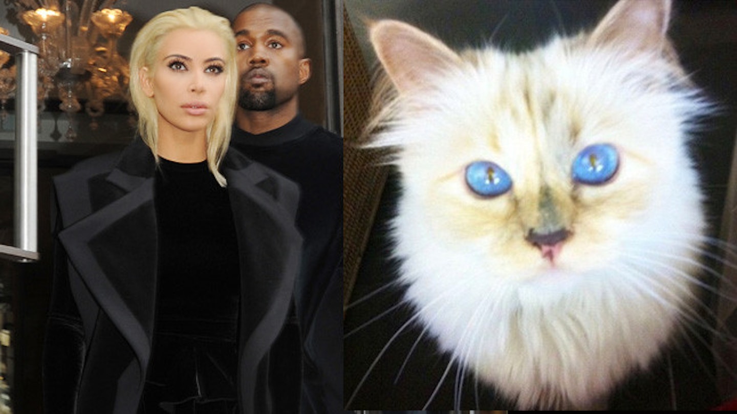 kim-choupette