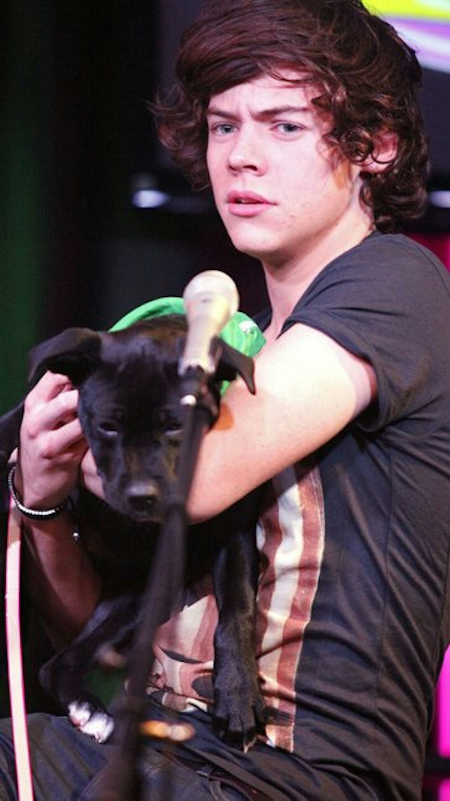 harrystyles9