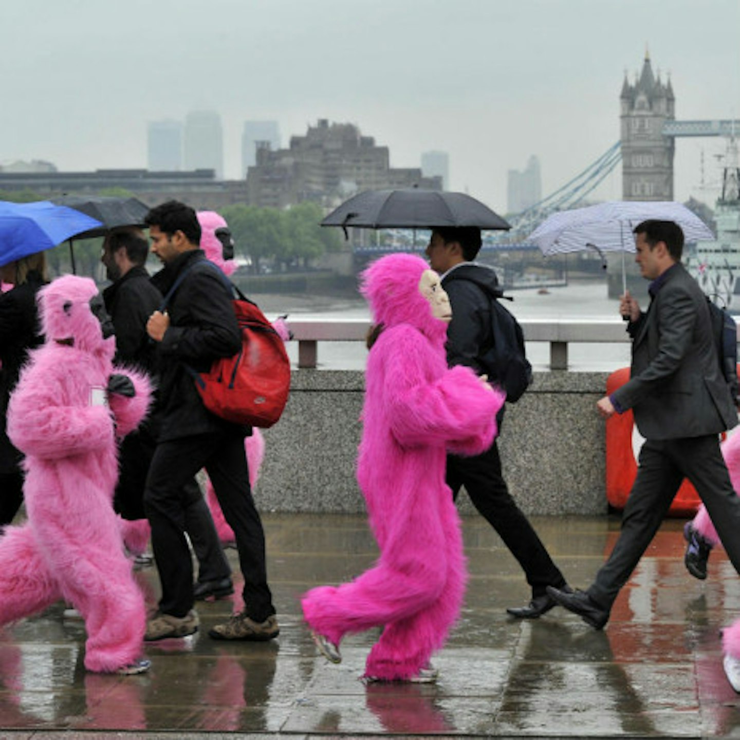 We don't think these commuters were expecting this...